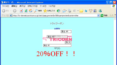画面を設定する：手順2（プレビュー）.jpg
