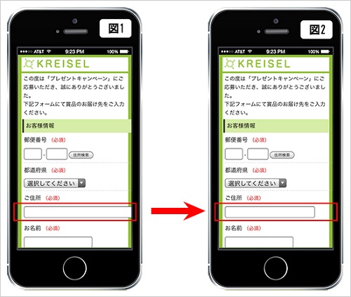 form_iphone.jpg