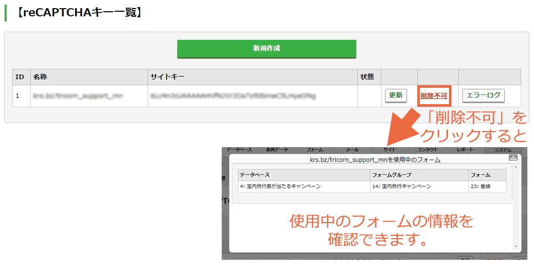 recaptcha_08.jpg