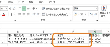 encryption_element_10.jpg