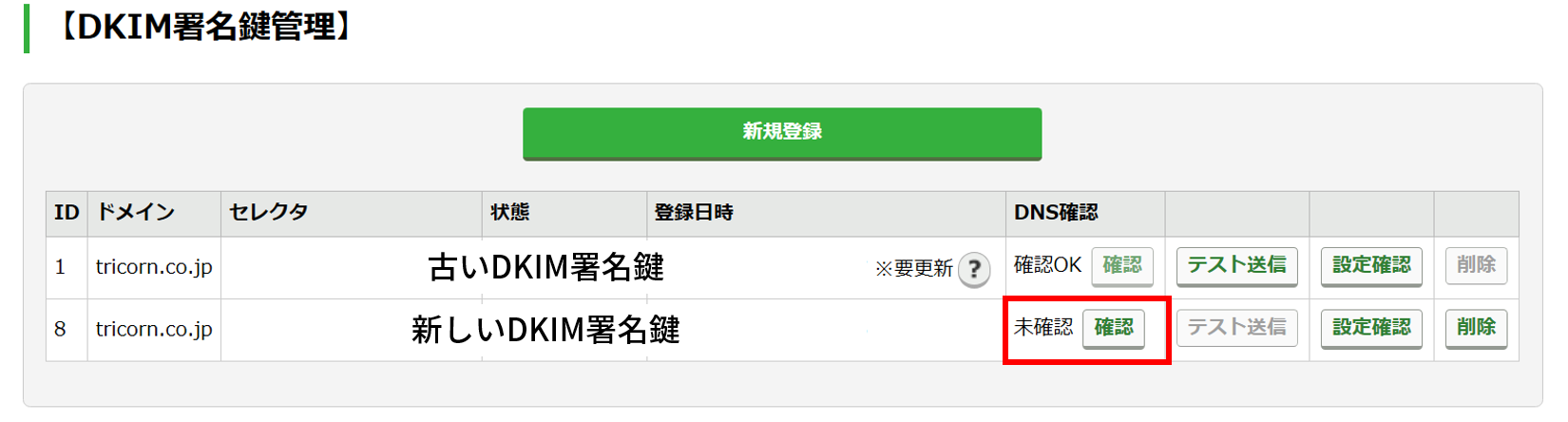 新しいDKIMレコードを確認する：手順2.png